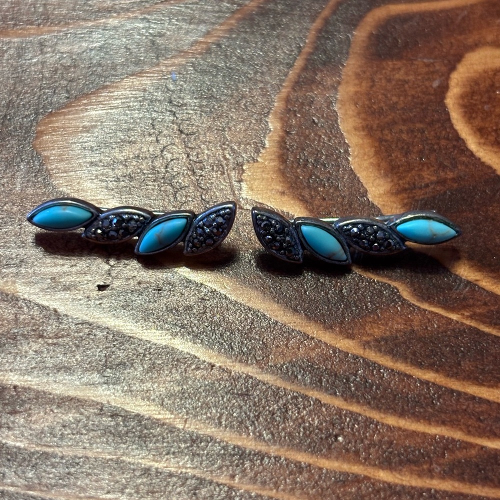 Elegant Turquoise Colored  and Silver-Toned Leaf Earrings